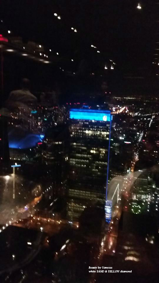 View fron the 54th floor -a